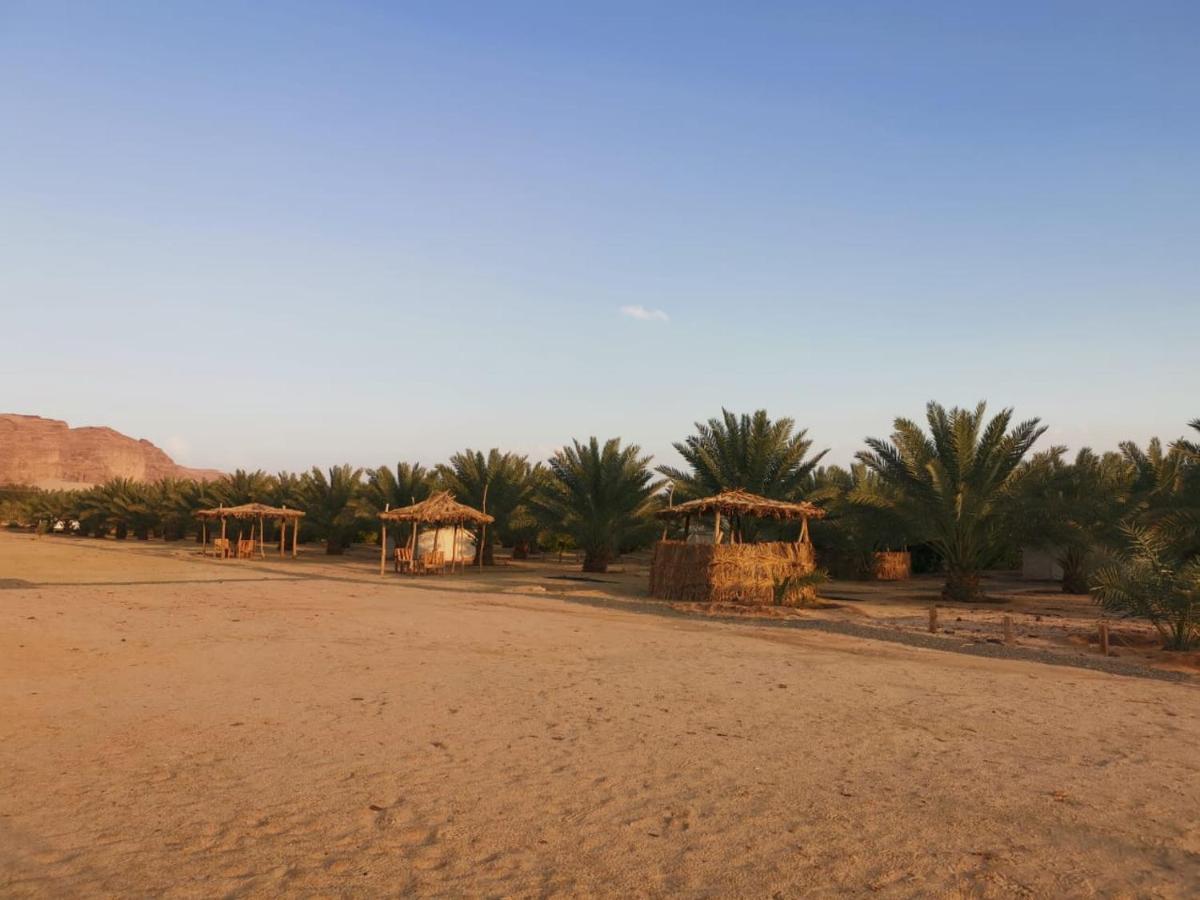Almazham Camp Resort アル・ウラー エクステリア 写真