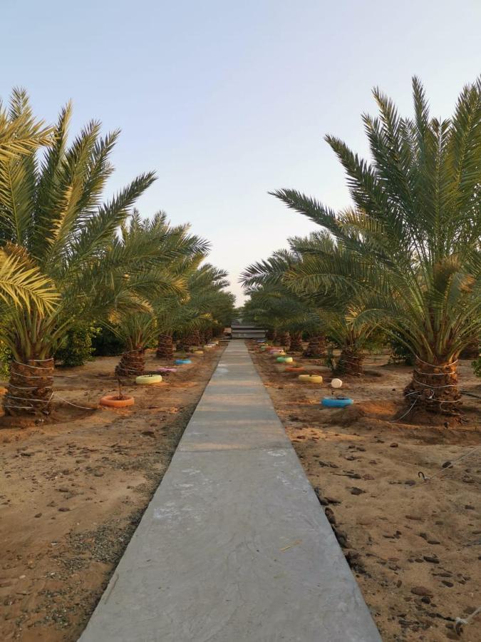 Almazham Camp Resort アル・ウラー エクステリア 写真
