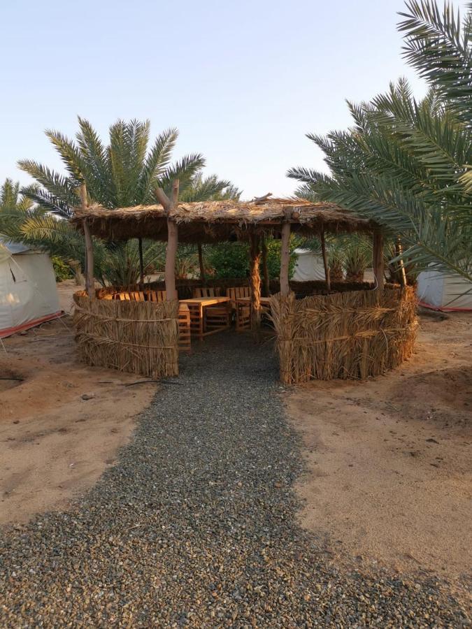 Almazham Camp Resort アル・ウラー エクステリア 写真